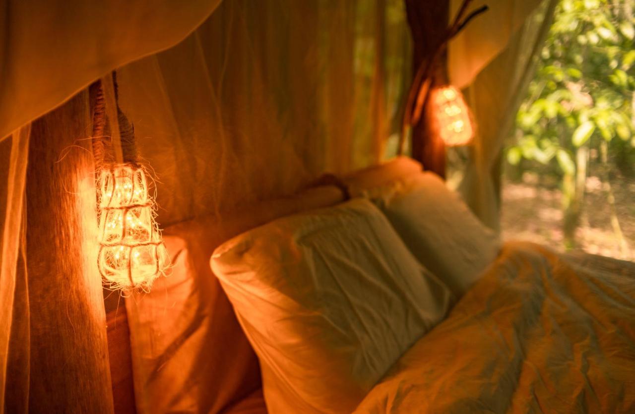 Awaken Amazonian Healing Resort All Inclusive อีกีโตส ภายนอก รูปภาพ