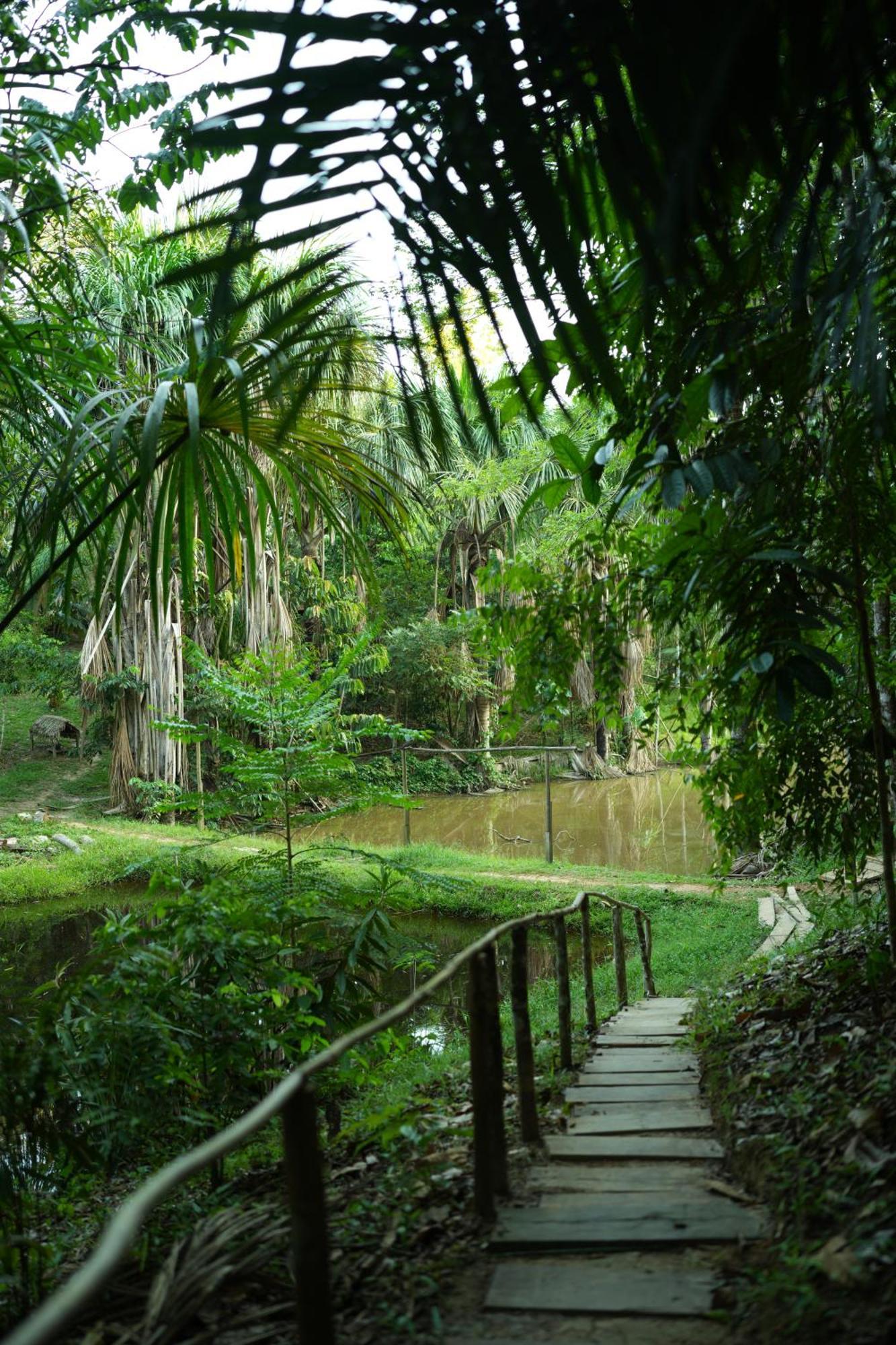 Awaken Amazonian Healing Resort All Inclusive อีกีโตส ภายนอก รูปภาพ