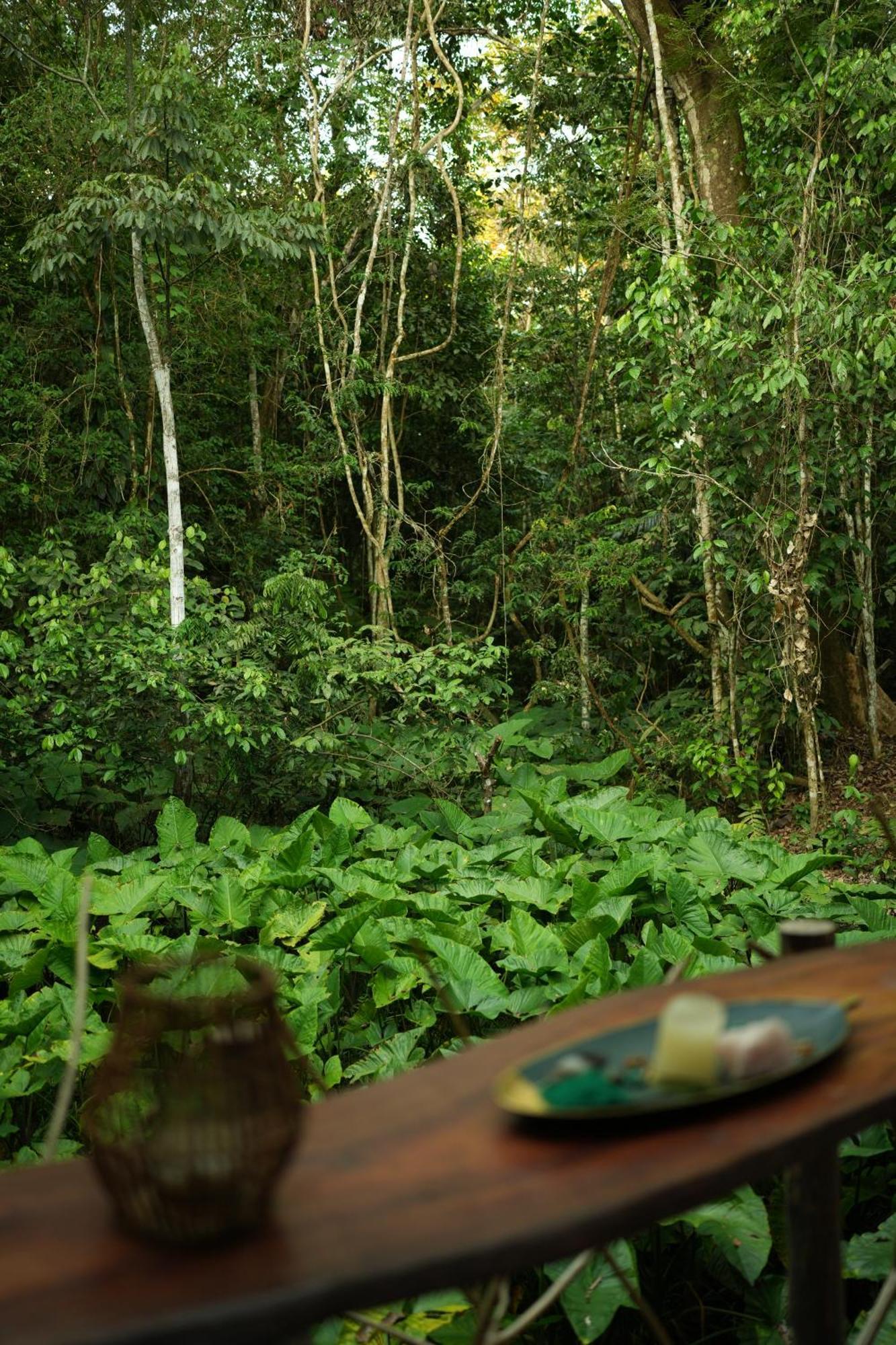 Awaken Amazonian Healing Resort All Inclusive อีกีโตส ภายนอก รูปภาพ